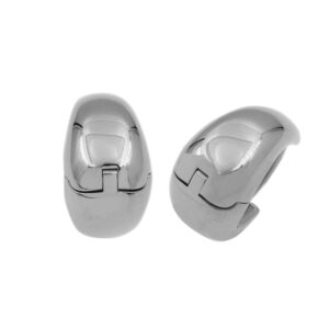 Stainless Steel Earrings