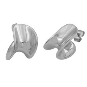 Stainless Steel Earrings