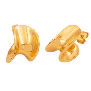 Stainless Steel Earrings