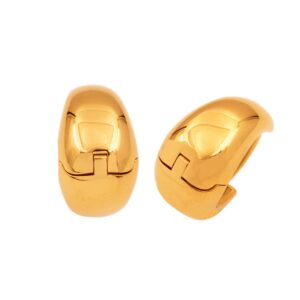 Stainless Steel Earrings