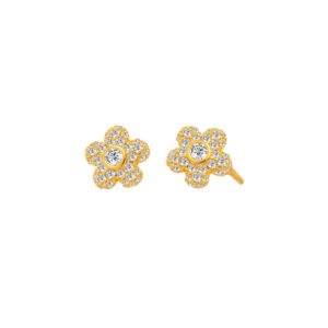 Silver Earrings 925