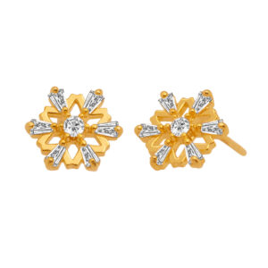 Silver Earrings 925