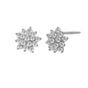Silver Earrings 925