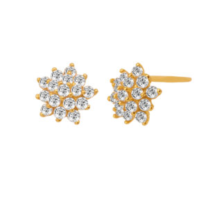 Silver Earrings 925